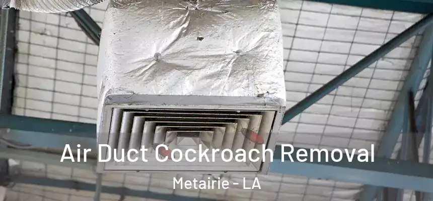  Air Duct Cockroach Removal Metairie - LA