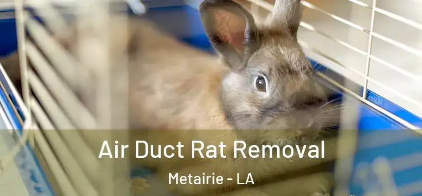  Air Duct Rat Removal Metairie - LA