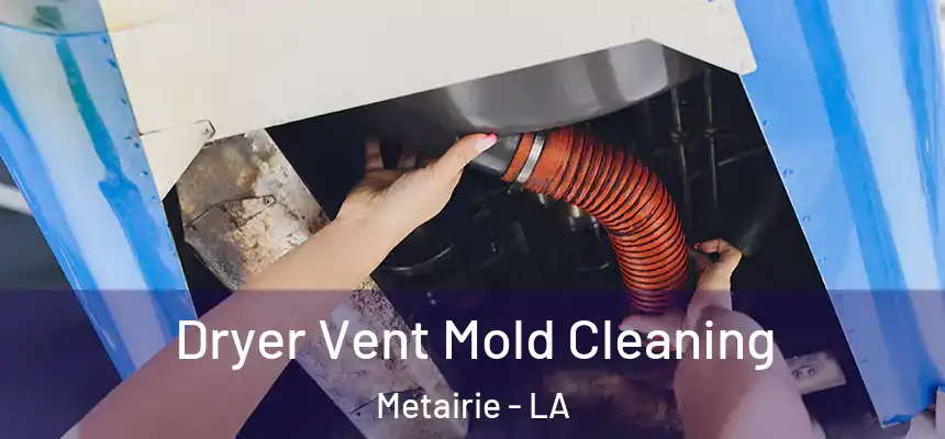  Dryer Vent Mold Cleaning Metairie - LA