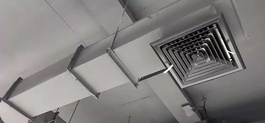 Our Pest Removal From Ducts Services in Metairie, LA