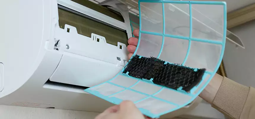 Gentle Ductwork Odor-Control Pet Dander Duct Cleaning in Metairie, LA