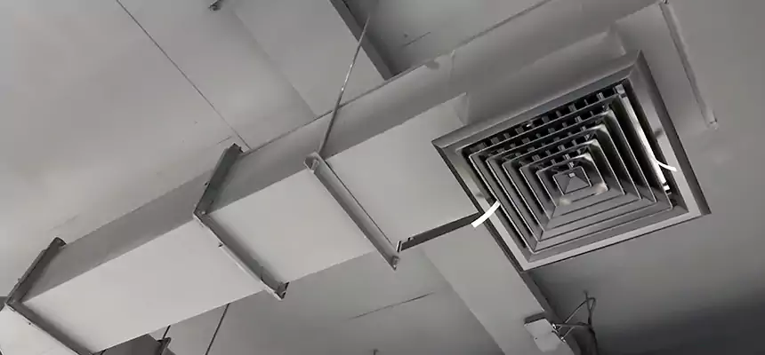 Our Rodent Droppings In Vents Services in Metairie, LA