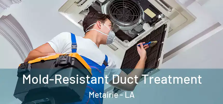  Mold-Resistant Duct Treatment Metairie - LA