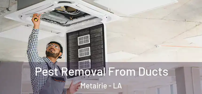 Pest Removal From Ducts Metairie - LA
