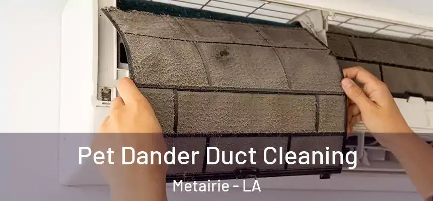  Pet Dander Duct Cleaning Metairie - LA