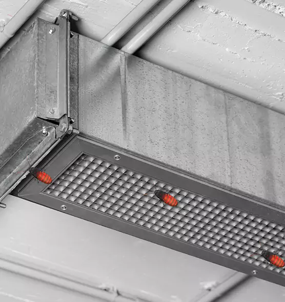 About Air Duct Cockroach Removal in Metairie, LA