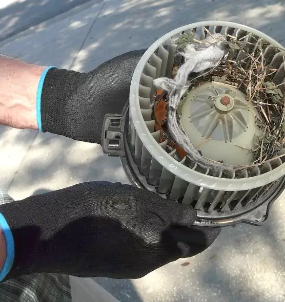 About Air Duct Rat Removal in Metairie, LA