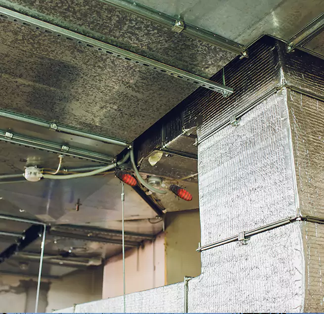 Why Homeowners & Businesses Trust Us in Metairie, LA?