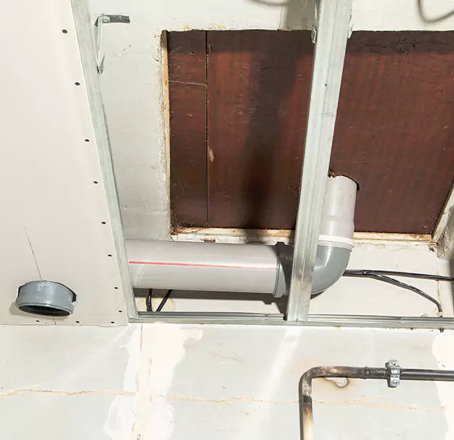 Why Homeowners & Businesses Trust Us in Metairie, LA?