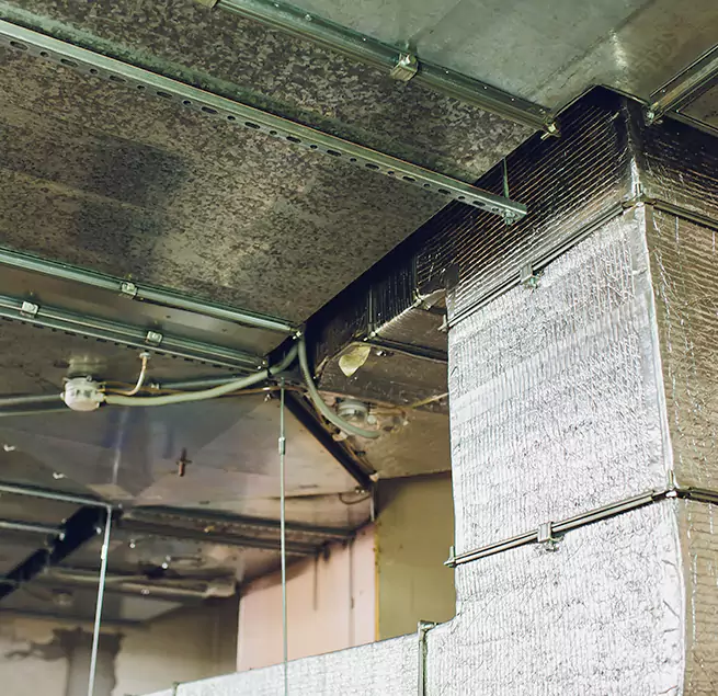 Why Homeowners & Businesses Trust Us in Metairie, LA?